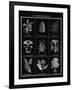 Histoire Naturelle II-Maria Mendez-Framed Giclee Print