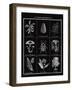 Histoire Naturelle II-Maria Mendez-Framed Giclee Print