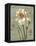 Histoire Naturelle II-Daphne Brissonnet-Framed Stretched Canvas