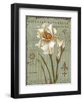 Histoire Naturelle II-Daphne Brissonnet-Framed Art Print