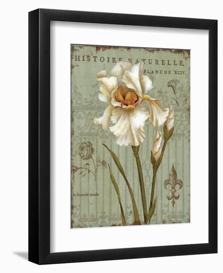 Histoire Naturelle II-Daphne Brissonnet-Framed Art Print