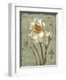 Histoire Naturelle II-Daphne Brissonnet-Framed Art Print