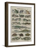 Histoire naturelle (reptiles)-null-Framed Giclee Print