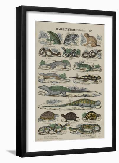 Histoire naturelle (reptiles)-null-Framed Giclee Print