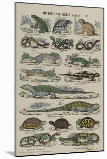 Histoire naturelle (reptiles)-null-Mounted Giclee Print