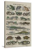 Histoire naturelle (reptiles)-null-Stretched Canvas