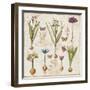 Histoire Naturelle V-Pela Design-Framed Art Print