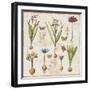 Histoire Naturelle V-Pela Design-Framed Art Print