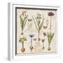 Histoire Naturelle V-Pela Design-Framed Art Print