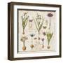 Histoire Naturelle V-Pela Design-Framed Art Print