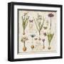 Histoire Naturelle V-Pela Design-Framed Art Print