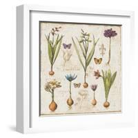 Histoire Naturelle V-Pela Design-Framed Art Print