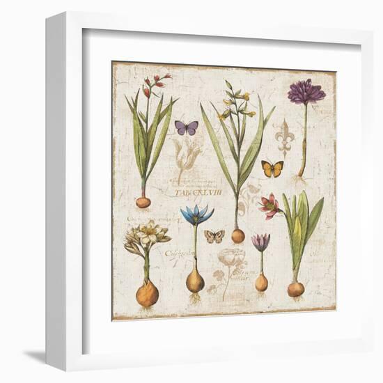 Histoire Naturelle V-Pela Design-Framed Art Print