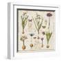 Histoire Naturelle V-Pela Design-Framed Art Print