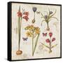 Histoire Naturelle VI-Pela Design-Framed Stretched Canvas