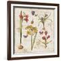 Histoire Naturelle VI-Pela Design-Framed Art Print