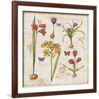 Histoire Naturelle VI-Pela Design-Framed Art Print