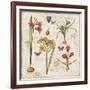 Histoire Naturelle VI-Pela Design-Framed Art Print