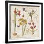 Histoire Naturelle VI-Pela Design-Framed Art Print