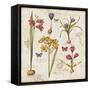 Histoire Naturelle VI-Pela Design-Framed Stretched Canvas