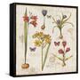 Histoire Naturelle VI-Pela Design-Framed Stretched Canvas