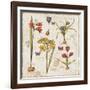 Histoire Naturelle VI-Pela Design-Framed Art Print