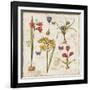 Histoire Naturelle VI-Pela Design-Framed Art Print