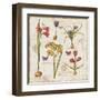 Histoire Naturelle VI-Pela Design-Framed Art Print