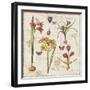 Histoire Naturelle VI-Pela Design-Framed Art Print