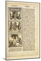 Historia General De Las Cosas De Nueva Espaa Aztec Chronicles-null-Mounted Giclee Print