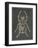 Historia Insectorum Generalis I-The Vintage Collection-Framed Giclee Print