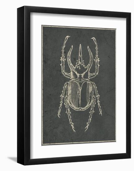 Historia Insectorum Generalis II-The Vintage Collection-Framed Giclee Print