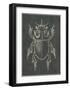 Historia Insectorum Generalis IV-The Vintage Collection-Framed Giclee Print