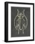 Historia Insectorum Generalis V-The Vintage Collection-Framed Giclee Print