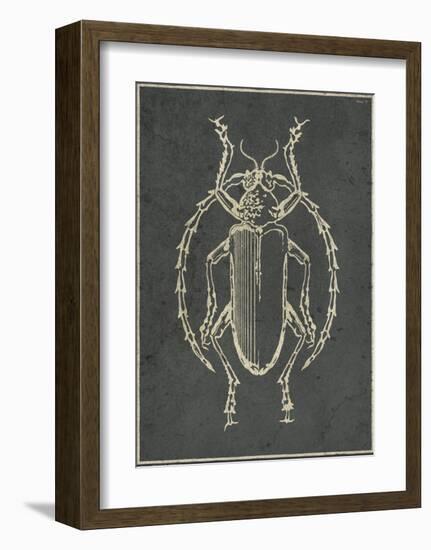 Historia Insectorum Generalis V-The Vintage Collection-Framed Giclee Print