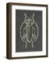 Historia Insectorum Generalis V-The Vintage Collection-Framed Giclee Print