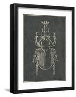 Historia Insectorum Generalis VI-The Vintage Collection-Framed Giclee Print