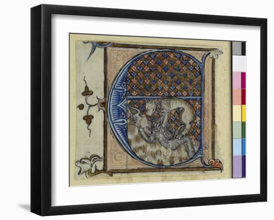 Historiated Initial 'E' Depicting a Lion Fighting a Devil, C.1320-30 (Vellum)-French-Framed Giclee Print