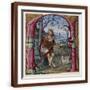 Brown Frame