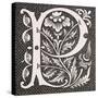 Historiated Letter 'P', from 'Le Moyen Age Et La Renaissance' by Paul Lacroix (1806-84) Published…-null-Stretched Canvas