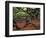 Historic Angel Oak Tree, Charleston, South Carolina, Usa-Joanne Wells-Framed Photographic Print