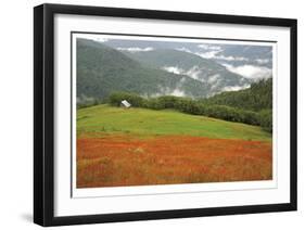 Historic Barn at Redwoods Forest-Donald Paulson-Framed Giclee Print