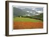 Historic Barn at Redwoods Forest-Donald Paulson-Framed Giclee Print