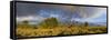 Historic Barn, Mormon Row and Teton Mountain Range, Grand Teton National Park, Wyoming, USA-Michele Falzone-Framed Stretched Canvas