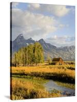 Historic Barn, Mormon Row and Teton Mountain Range, Grand Teton National Park, Wyoming, USA-Michele Falzone-Stretched Canvas