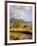 Historic Barn, Mormon Row and Teton Mountain Range, Grand Teton National Park, Wyoming, USA-Michele Falzone-Framed Photographic Print