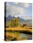 Historic Barn, Mormon Row and Teton Mountain Range, Grand Teton National Park, Wyoming, USA-Michele Falzone-Stretched Canvas