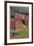 Historic Barn-Donald Paulson-Framed Giclee Print