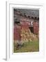 Historic Barn-Donald Paulson-Framed Giclee Print