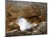 Historic Bridge over Fox River, near Paparoa National Park, West Coast, South Island, New Zealand-David Wall-Mounted Photographic Print